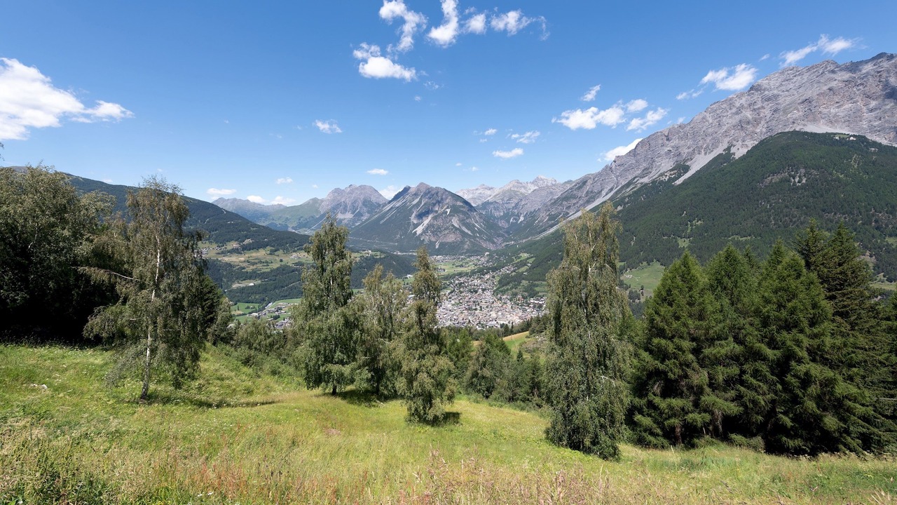 Photo of Outdoor in Valdisotto
