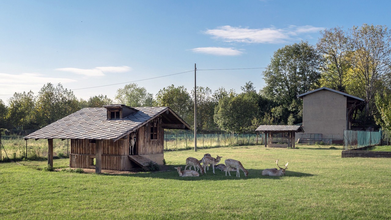 Photo of Outdoor in Orio al Serio
