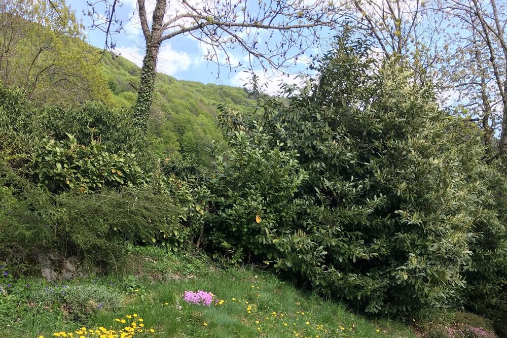 Photo of Outdoor in Aviatico