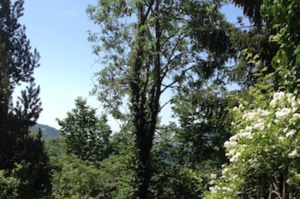 Photo of Outdoor in Aviatico