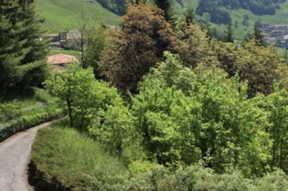 Photo of Others in Aviatico