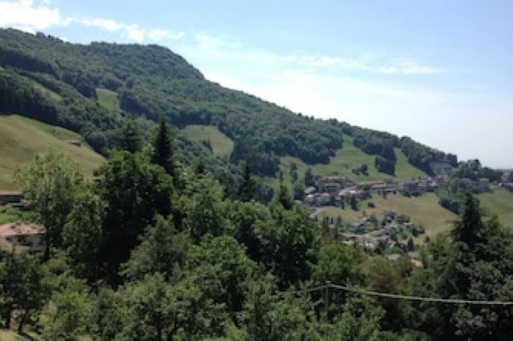 Photo of Outdoor in Aviatico