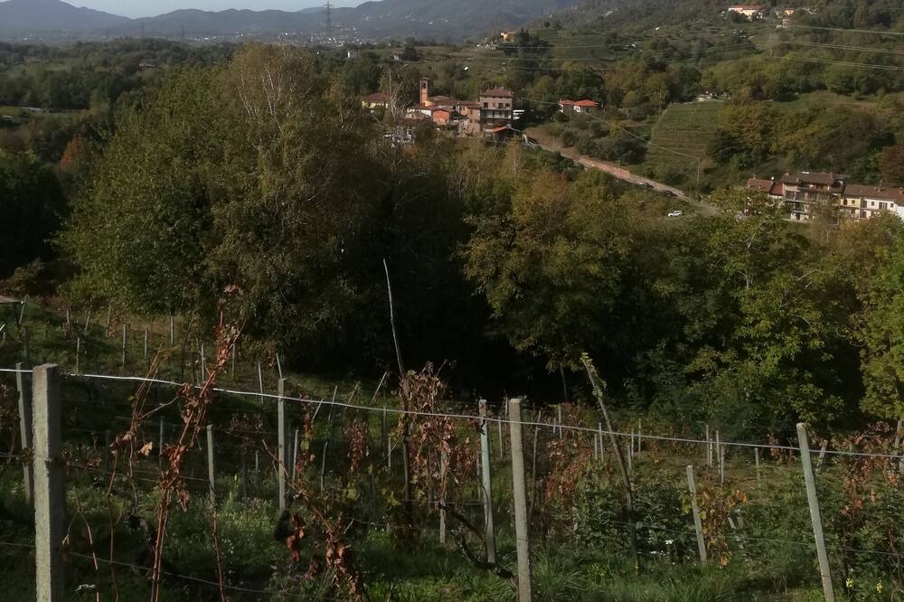 Photo of Others in Sorisole