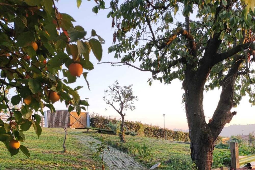 Photo of Outdoor in Sorisole
