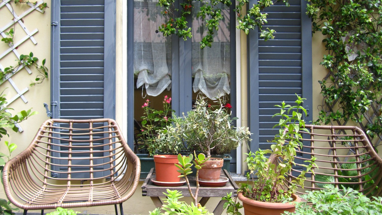 Photo of Outdoor in Porta Venezia