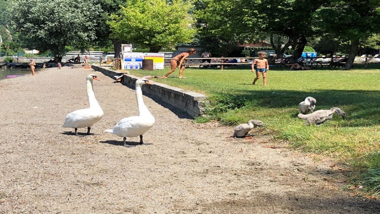 Photo of Outdoor in Fiumelatte