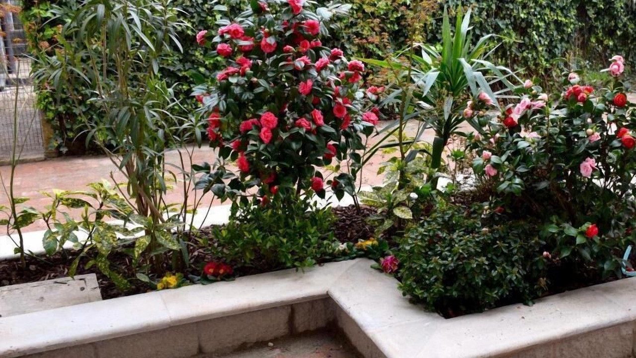Photo of Outdoor in Rho