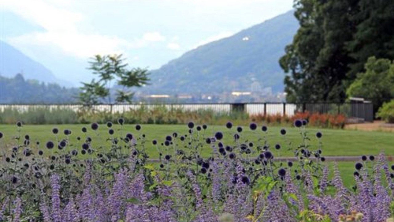 Photo of Outdoor in Laveno
