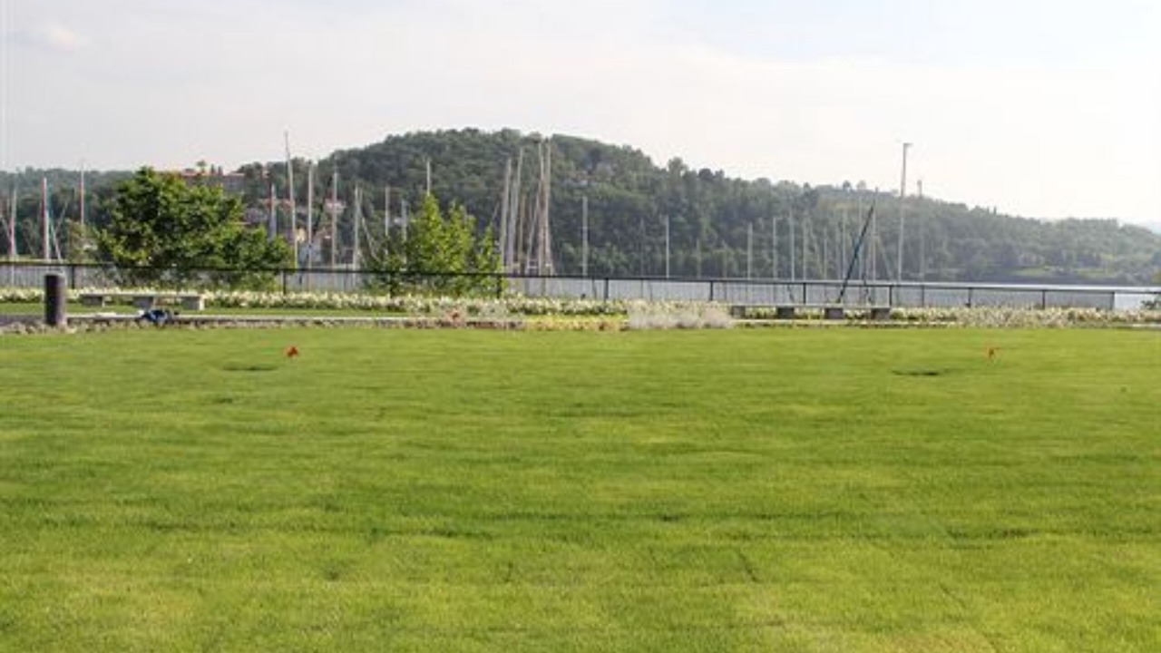Photo of Others in Laveno