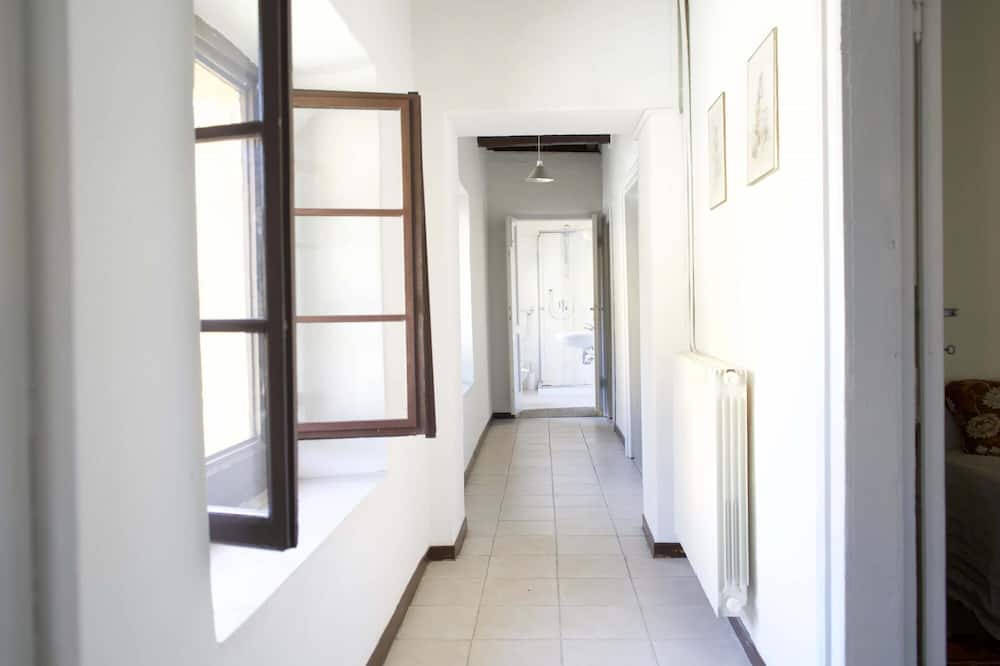Photo of Others in Erba