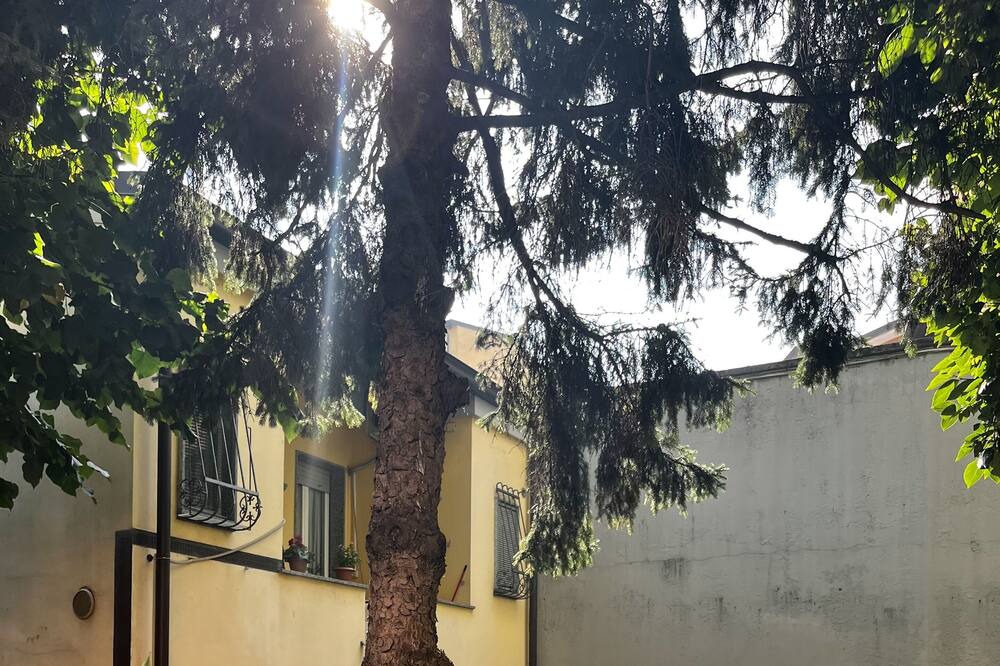 Photo of Outdoor in Gioia