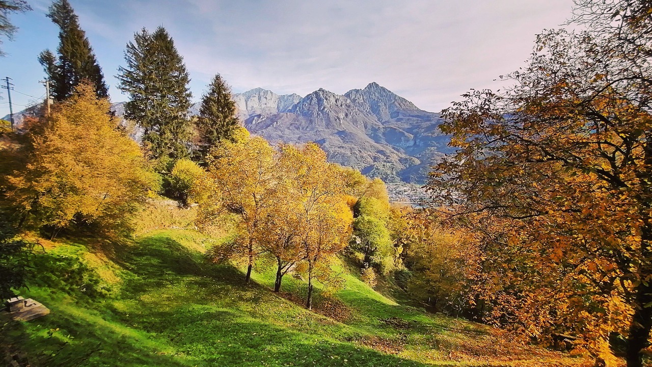 Photo of Outdoor in Osigo