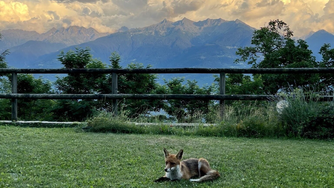 Photo of Outdoor in Valtellina