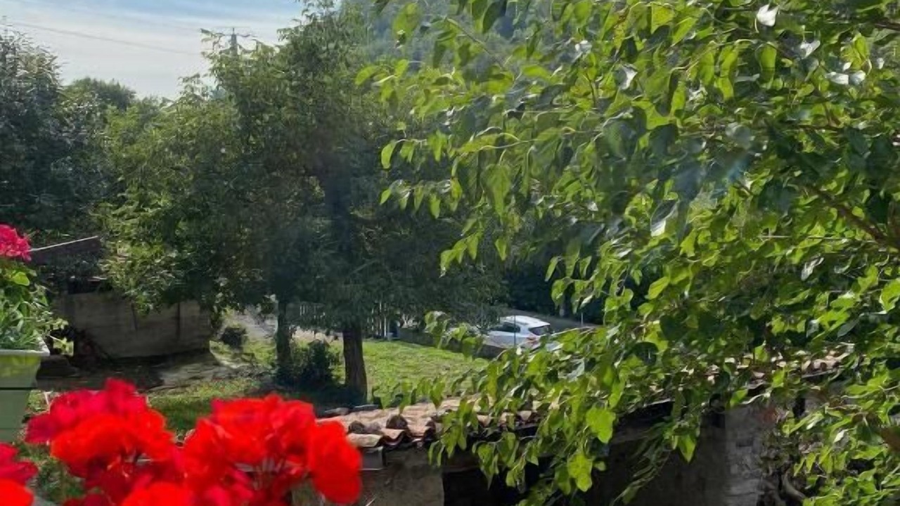 Photo of Outdoor in Canzo