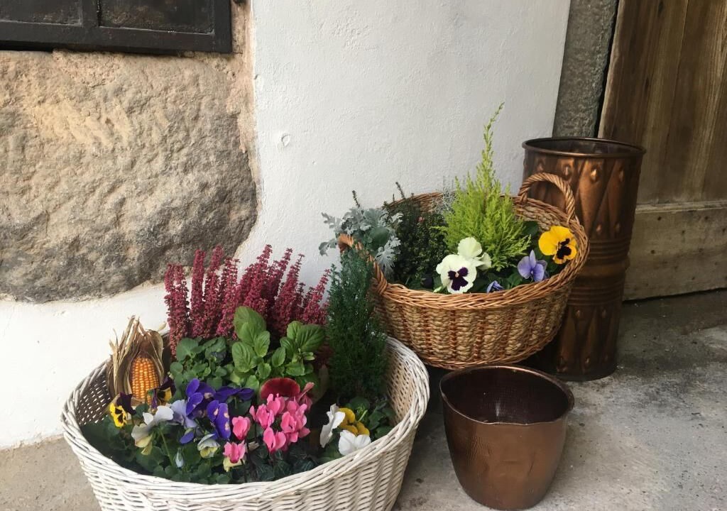 Photo of Outdoor in Canzo