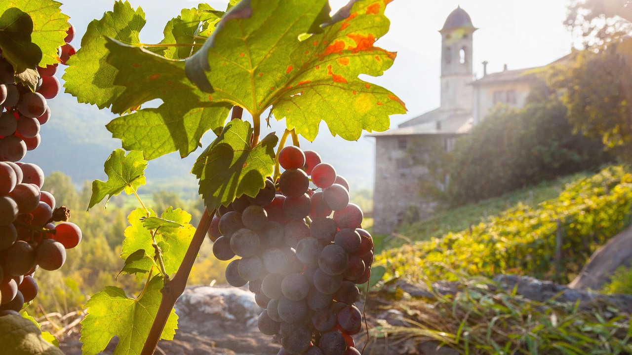 Photo of Outdoor in Caiolo