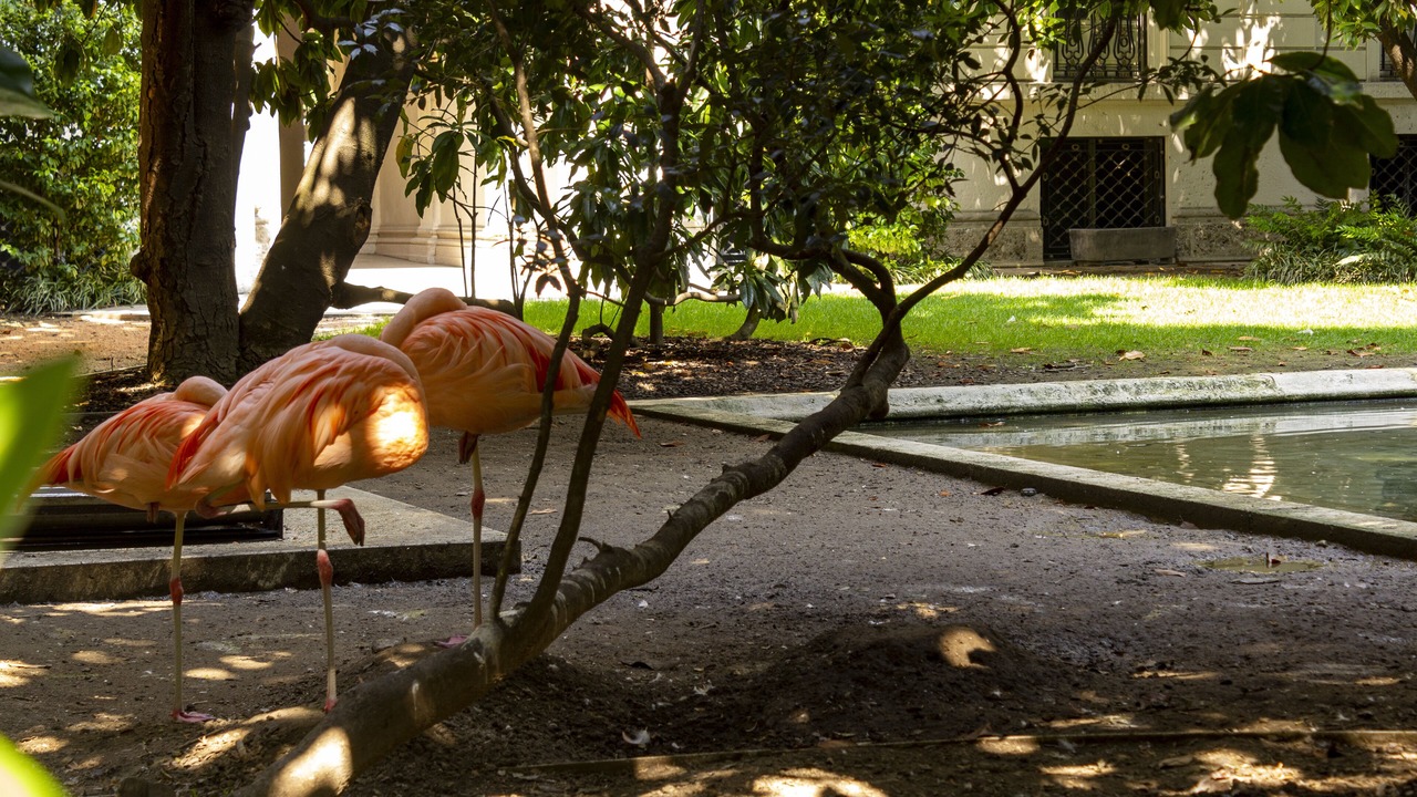 Photo of Outdoor in Zona Risorgimento