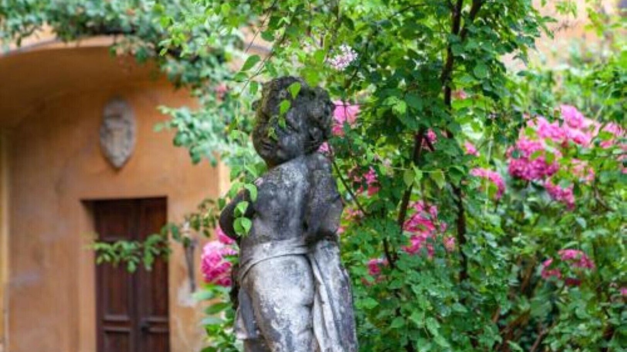 Photo of Outdoor in Tirano