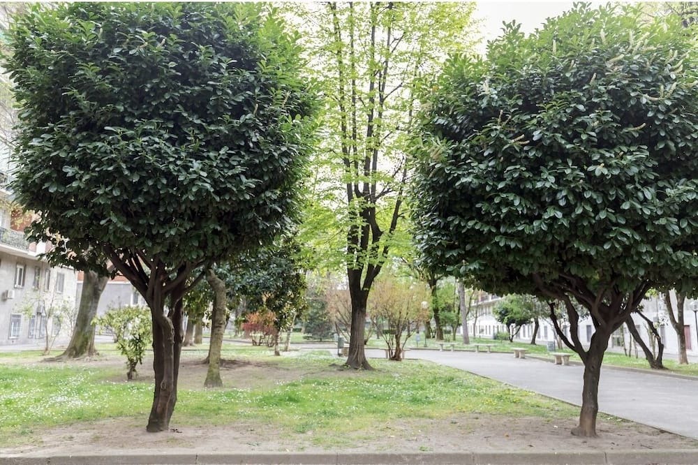 Photo of Outdoor in Binda