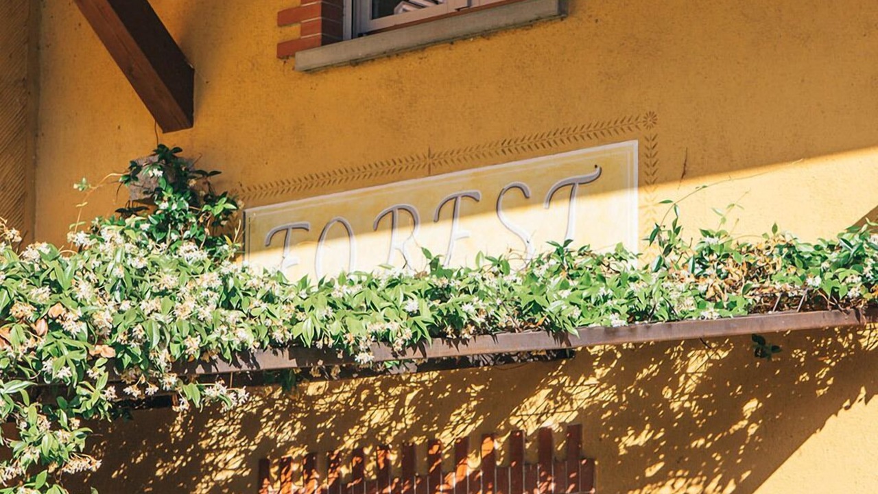 Photo of Outdoor in Iseo