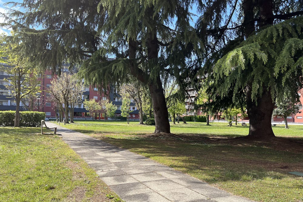 Photo of Outdoor in Segrate