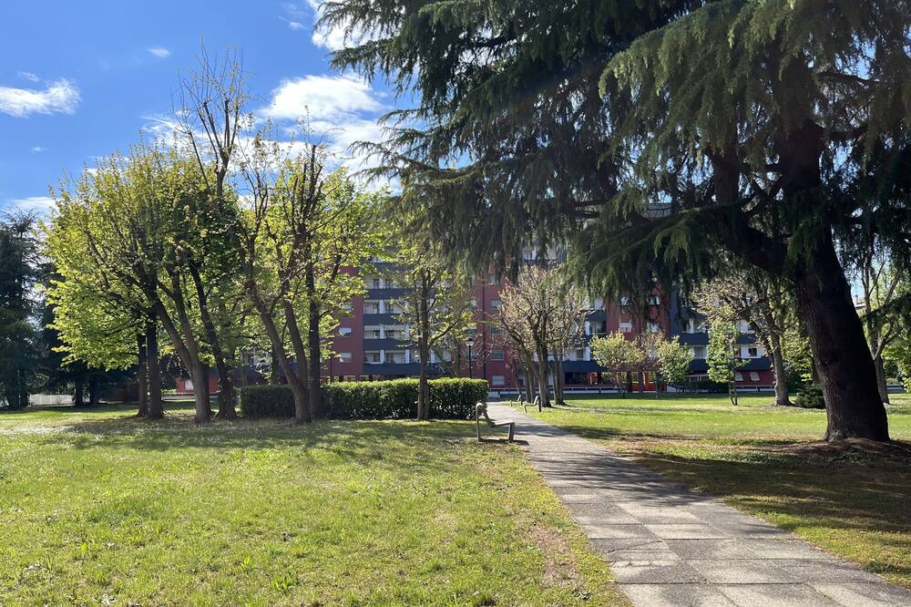 Photo of Outdoor in Segrate