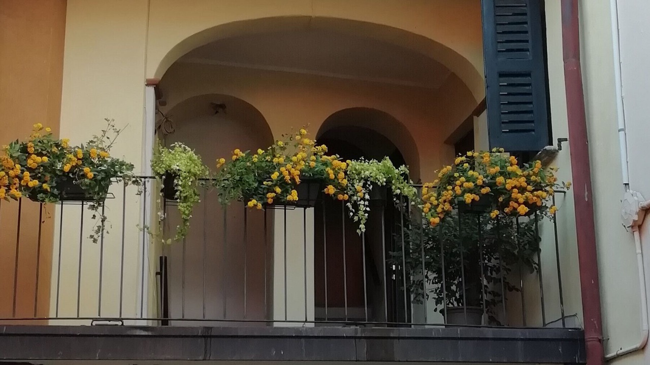 Photo of Outdoor in Lavena Ponte Tresa