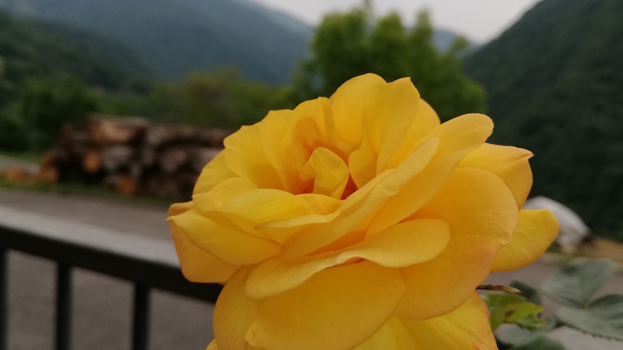Photo of Outdoor in Costa di Serina