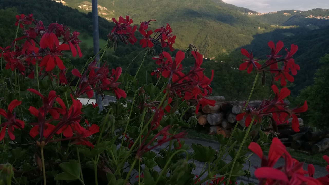 Photo of Outdoor in Costa di Serina