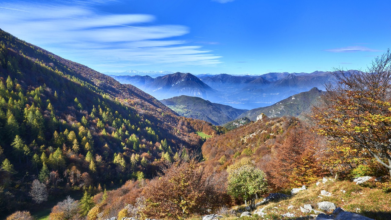 Photo of Others in Ortanella