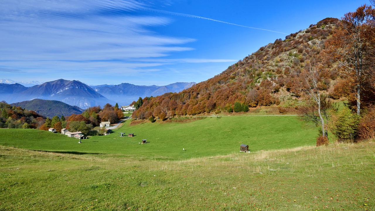 Photo of Others in Ortanella