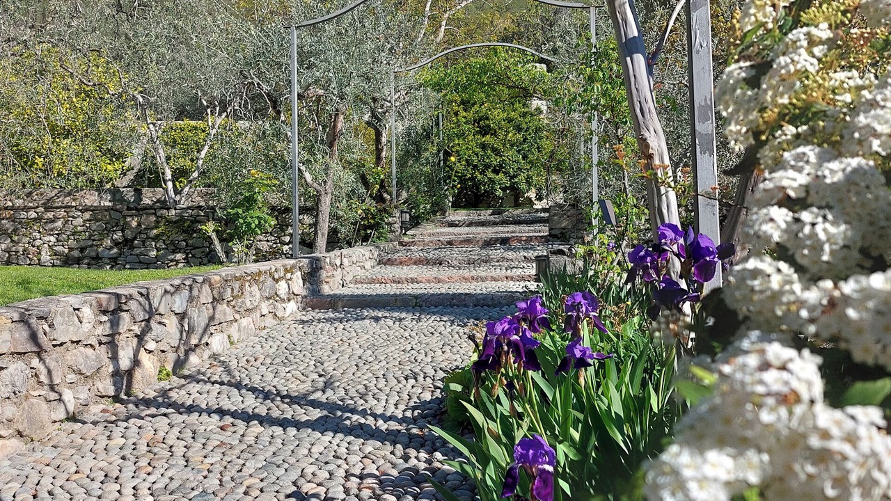 Photo of Outdoor in Gargnano