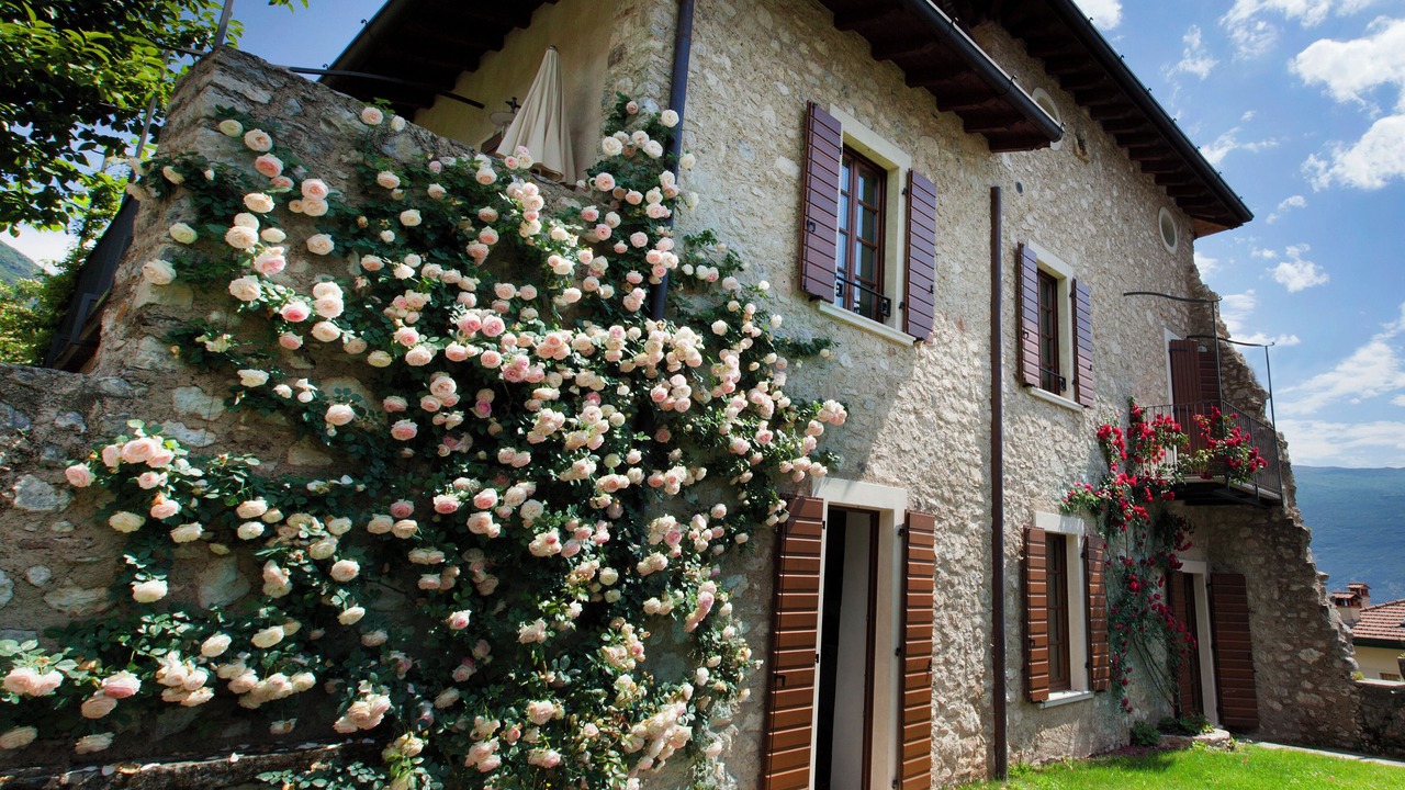 Photo of Patio Balcony in Gargnano
