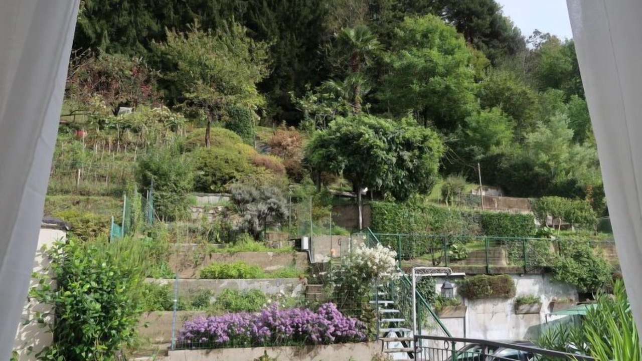 Photo of Outdoor in Poppino