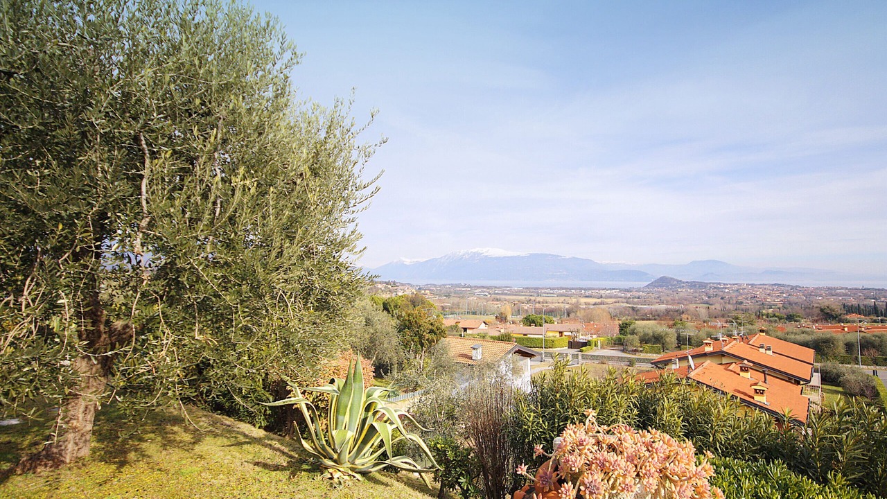 Photo of Outdoor in Polpenazze del Garda
