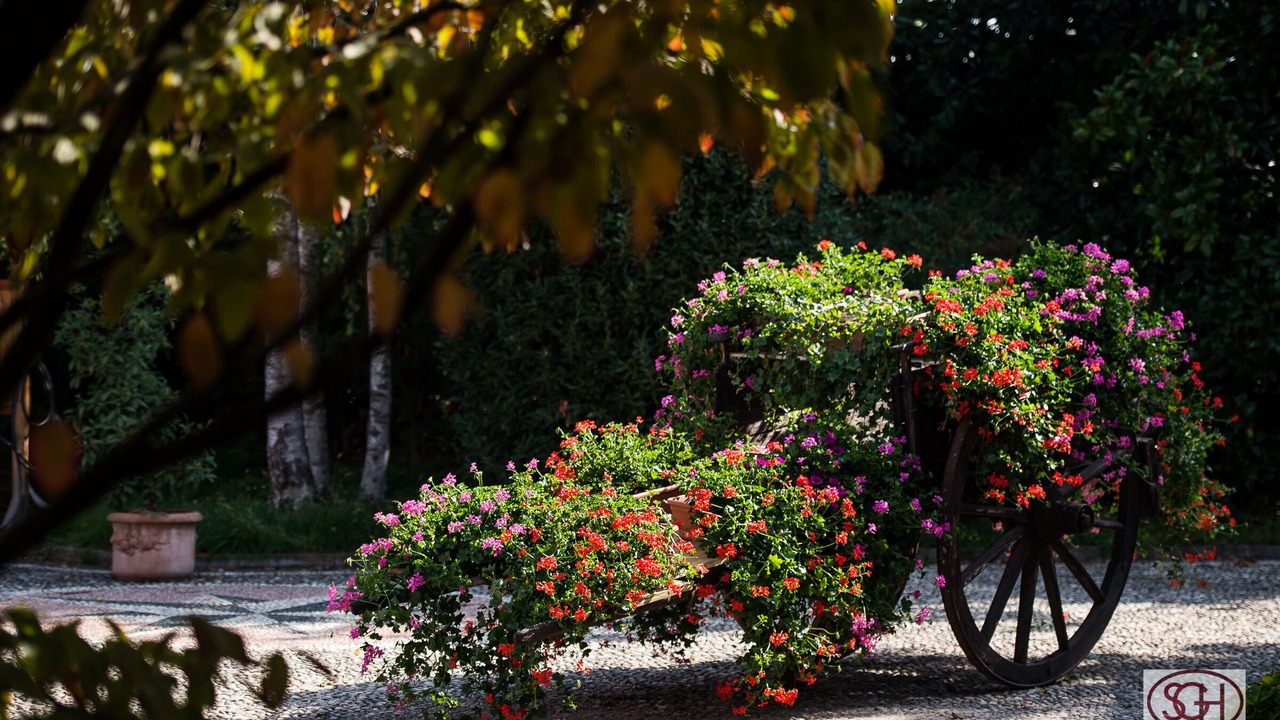 Photo of Outdoor in Arluno
