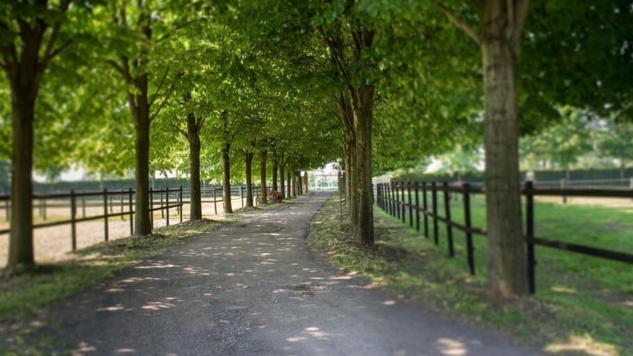 Photo of Outdoor in Arluno