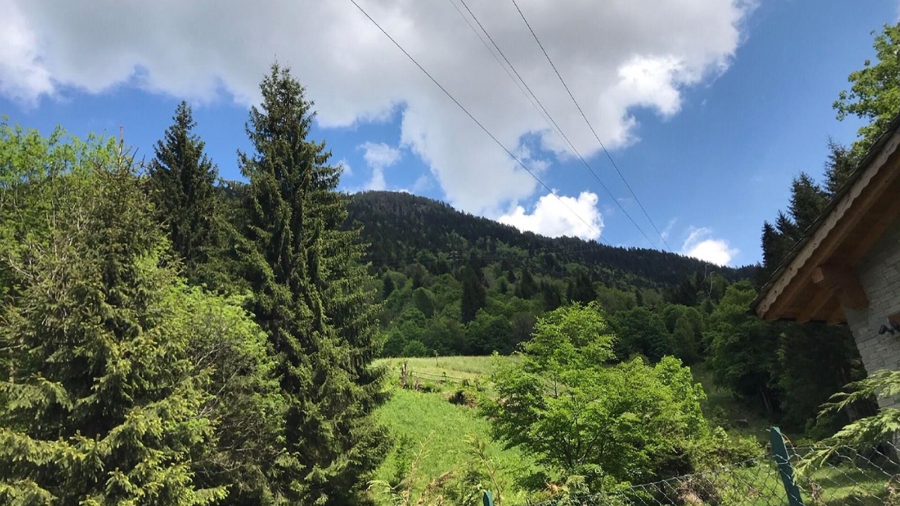 Photo of Outdoor in Pedesina