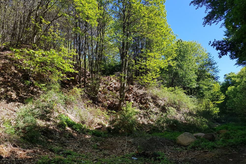 Photo of Outdoor in Cavagnano