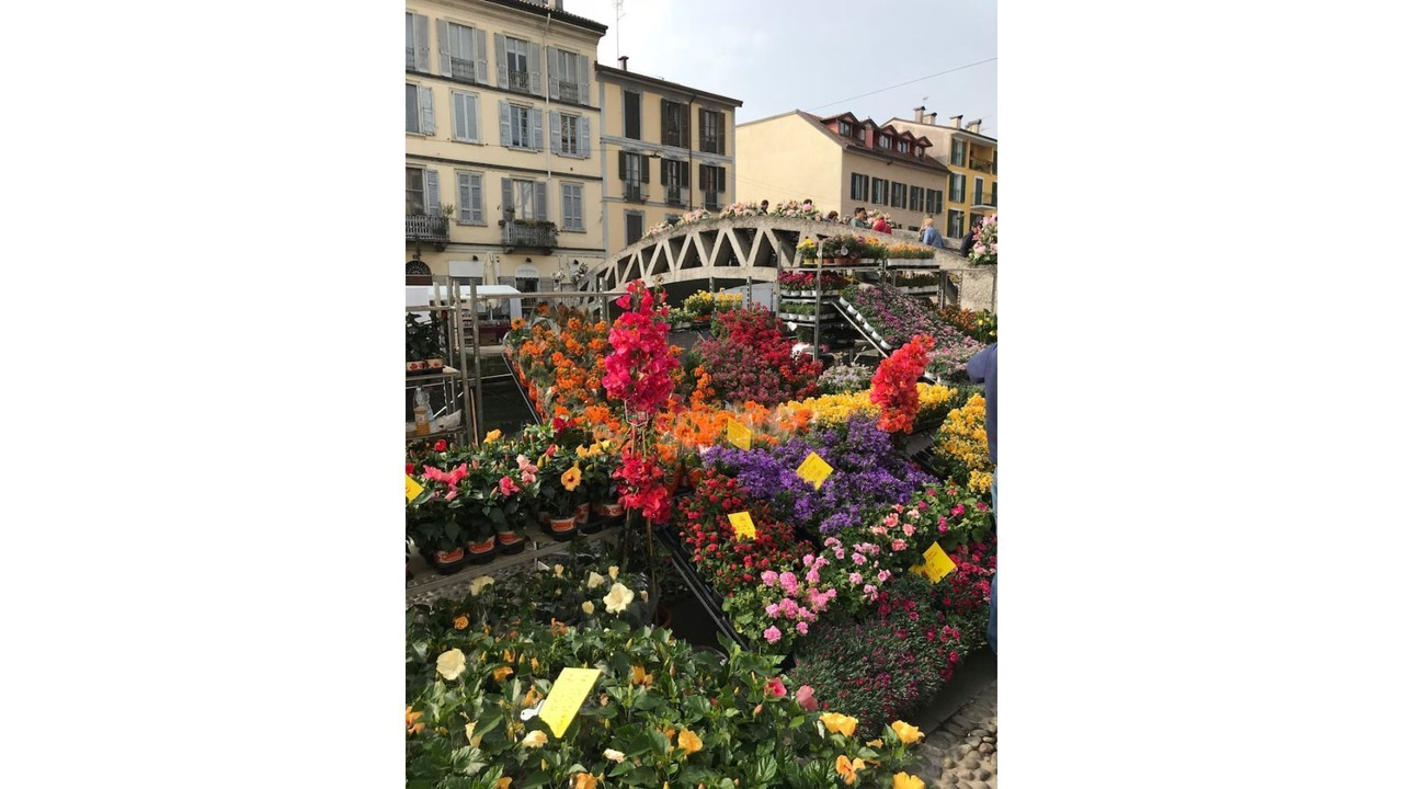 Photo of Outdoor in Binda