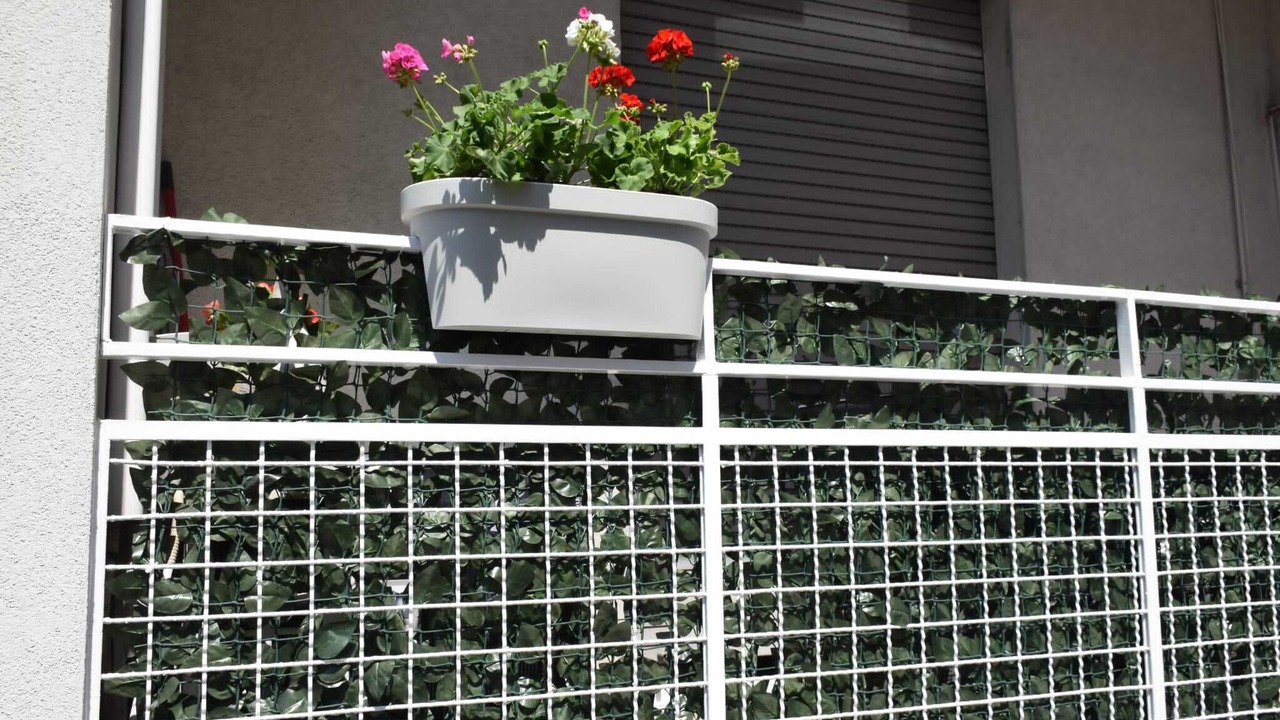 Photo of Outdoor in Albate