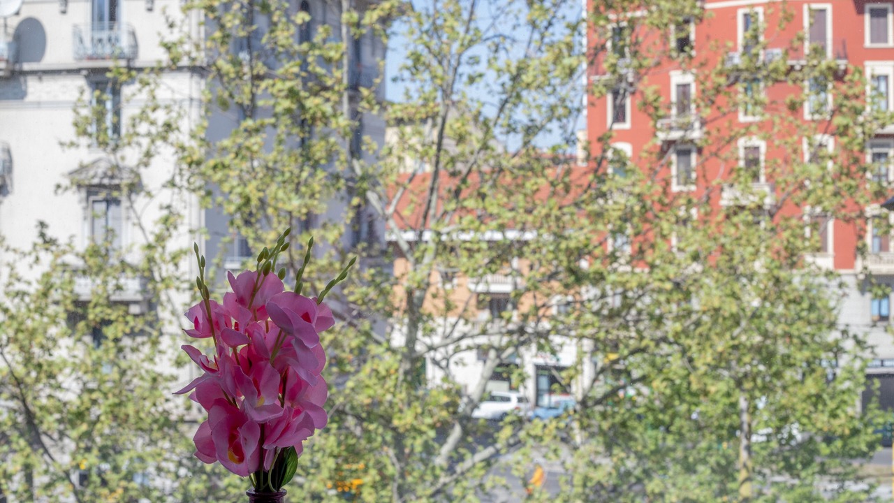 Photo of Outdoor in Simonetta