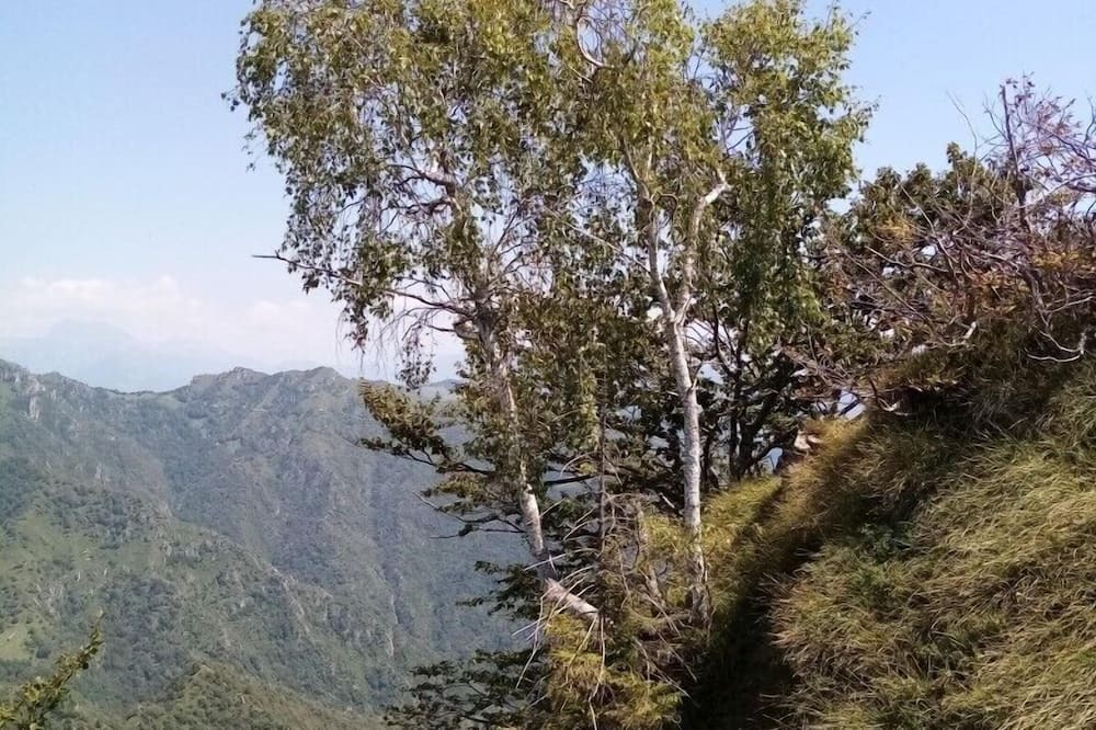 Photo of Outdoor in Vertova