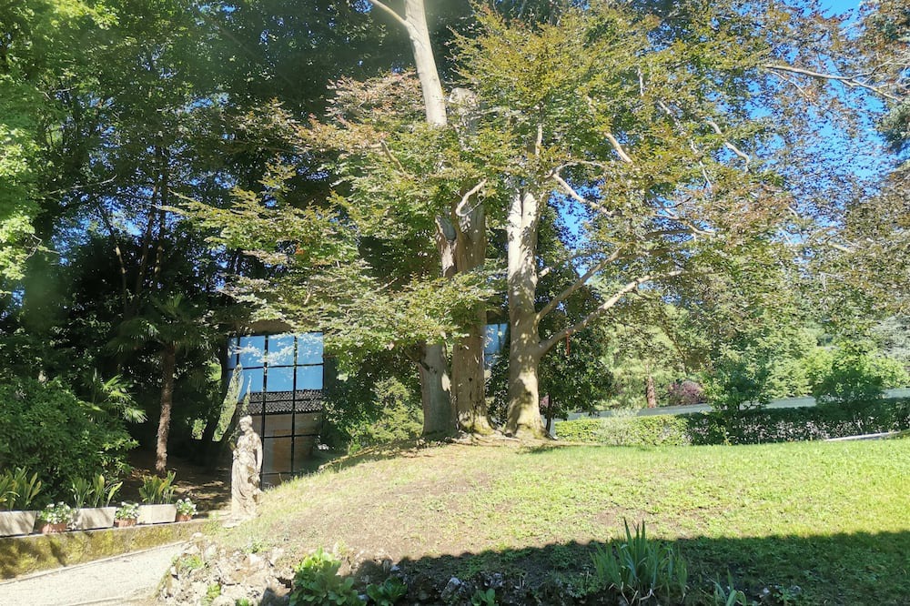 Photo of Outdoor in Erba