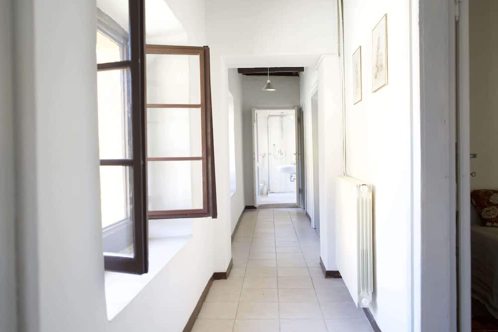 Photo of Others in Erba