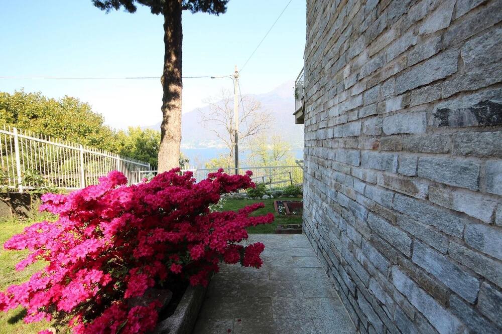 Photo of Others in Vignola