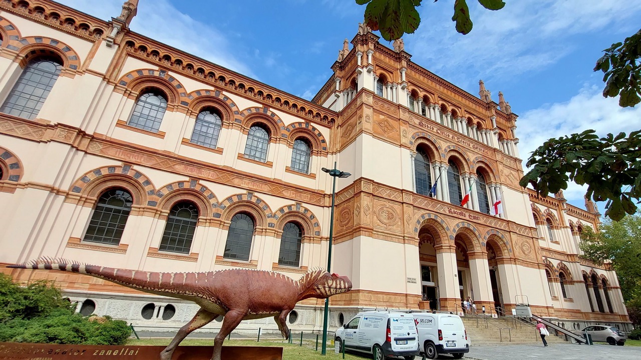 Photo of Outdoor in Tricolore