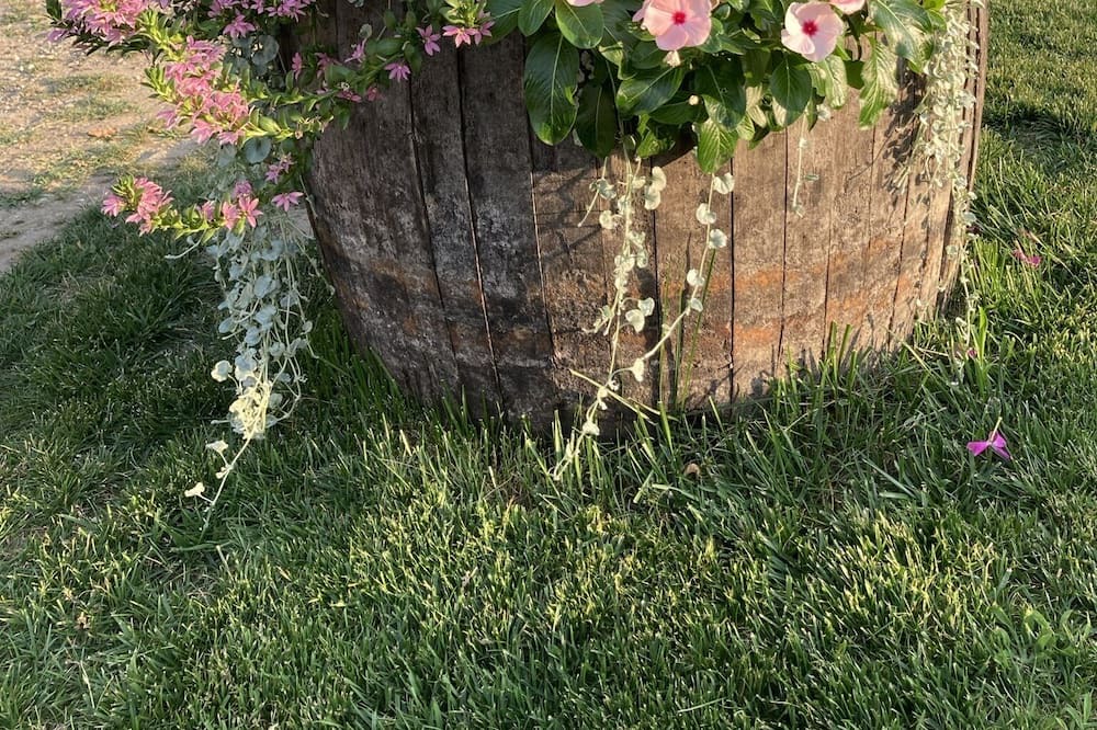Photo of Outdoor in Barza