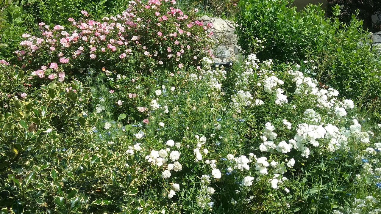 Photo of Outdoor in Cerano d'Intelvi