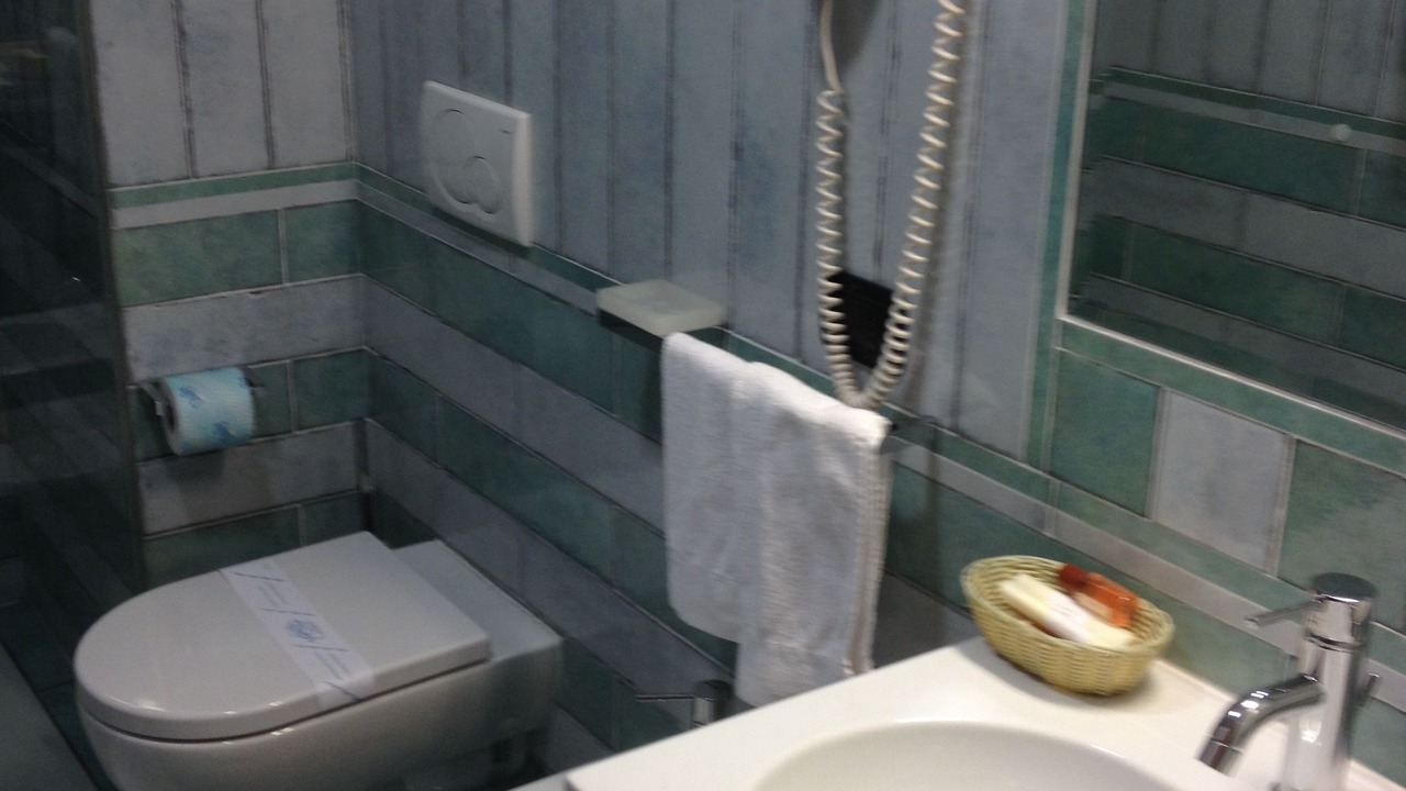 Photo of Bathroom in Capolago